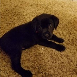 Meet your Posher, Ethan